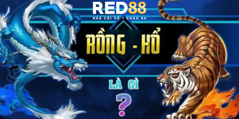 Cùng Red88 tìm hiểu rõ hơn về trò chơi Rồng Hổ hấp dẫn này